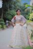 Picture of Heavy Lehenga for bridal wear and hand work dupatta