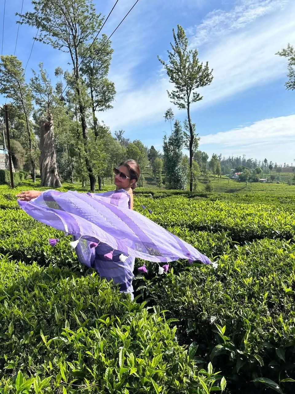 Mala Mal Cotton Saree – Lavender Bliss
